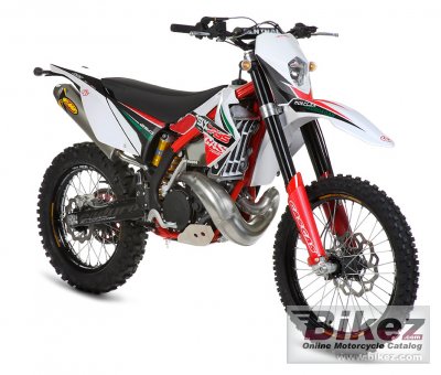 2011 GAS GAS EC 250 2T Six-Days photo